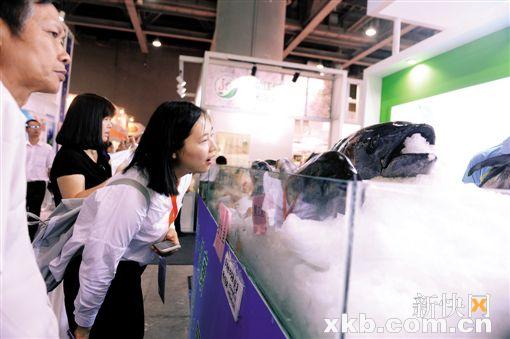 韩国欧巴喂你吃点心 美食展览新福利(图2) 韩国欧巴喂你吃点心 美食展览新福利(图2)