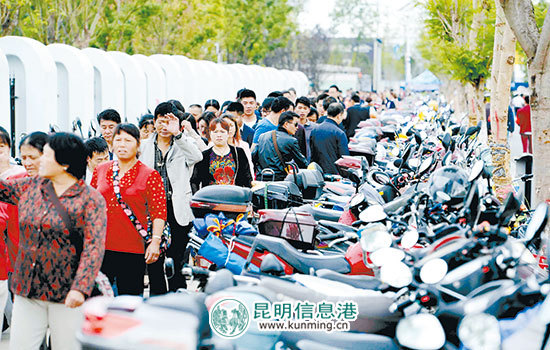 第4届南博会约80万人次观展(图9)