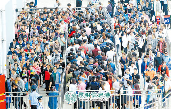 第4届南博会约80万人次观展(图6)