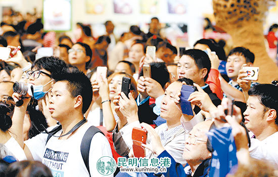 第4届南博会约80万人次观展(图7)