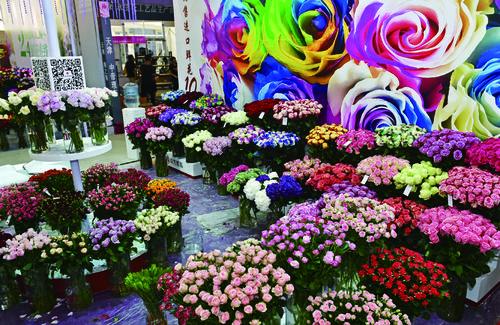 夏溪要办一场国际家庭花卉园艺展(图1)