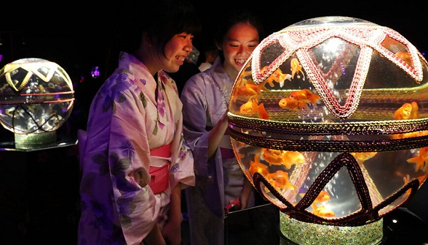 8000金鱼梦幻亮相日本办水族馆展览(图4) 按此在新窗口浏览图片