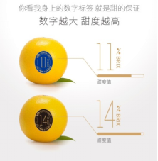 天天果园“橙先生”摘亚洲果蔬展年度营销大奖(图2)