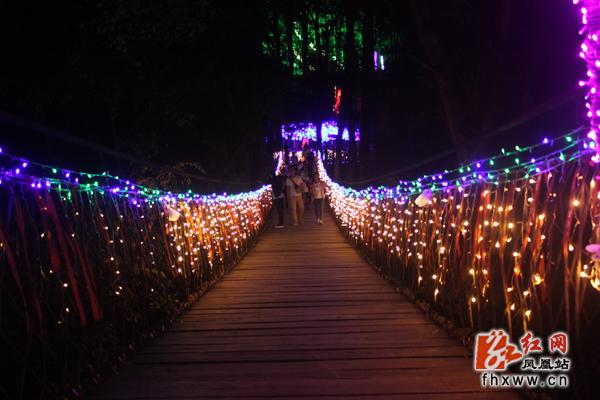 凤凰县梦幻灯光节开幕 优美风景羡煞游人(图5)