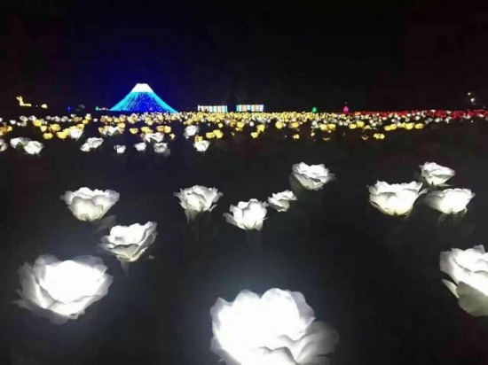 泰州香草湾海船长环球国际灯光节(图1)