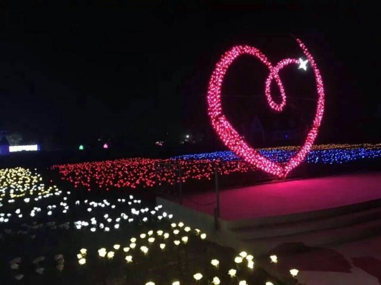 泰州香草湾海船长环球国际灯光节(图3)