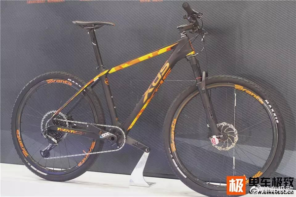 2017中国车展(图30)