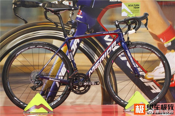 2017中国车展(图4)