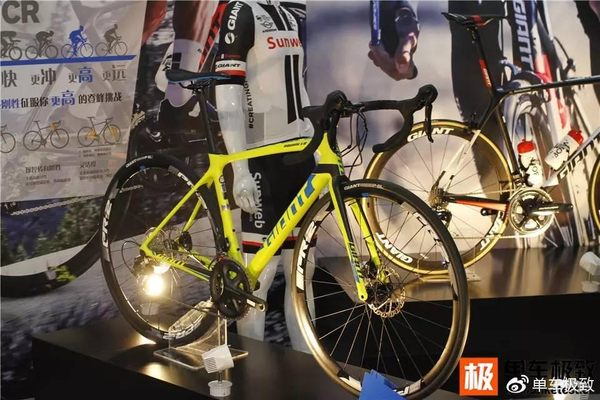 2017中国车展(图11)